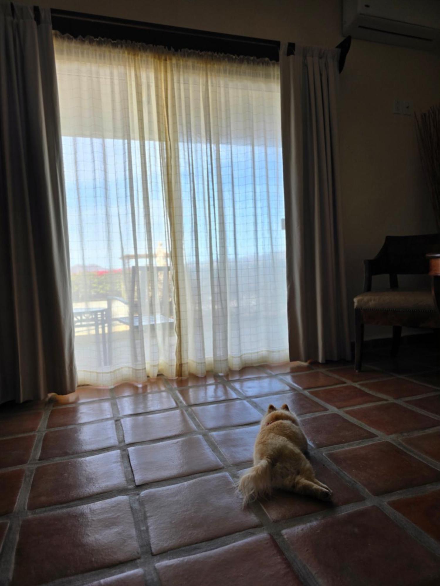Hacienda Guadalupe Hotel Buitenkant foto