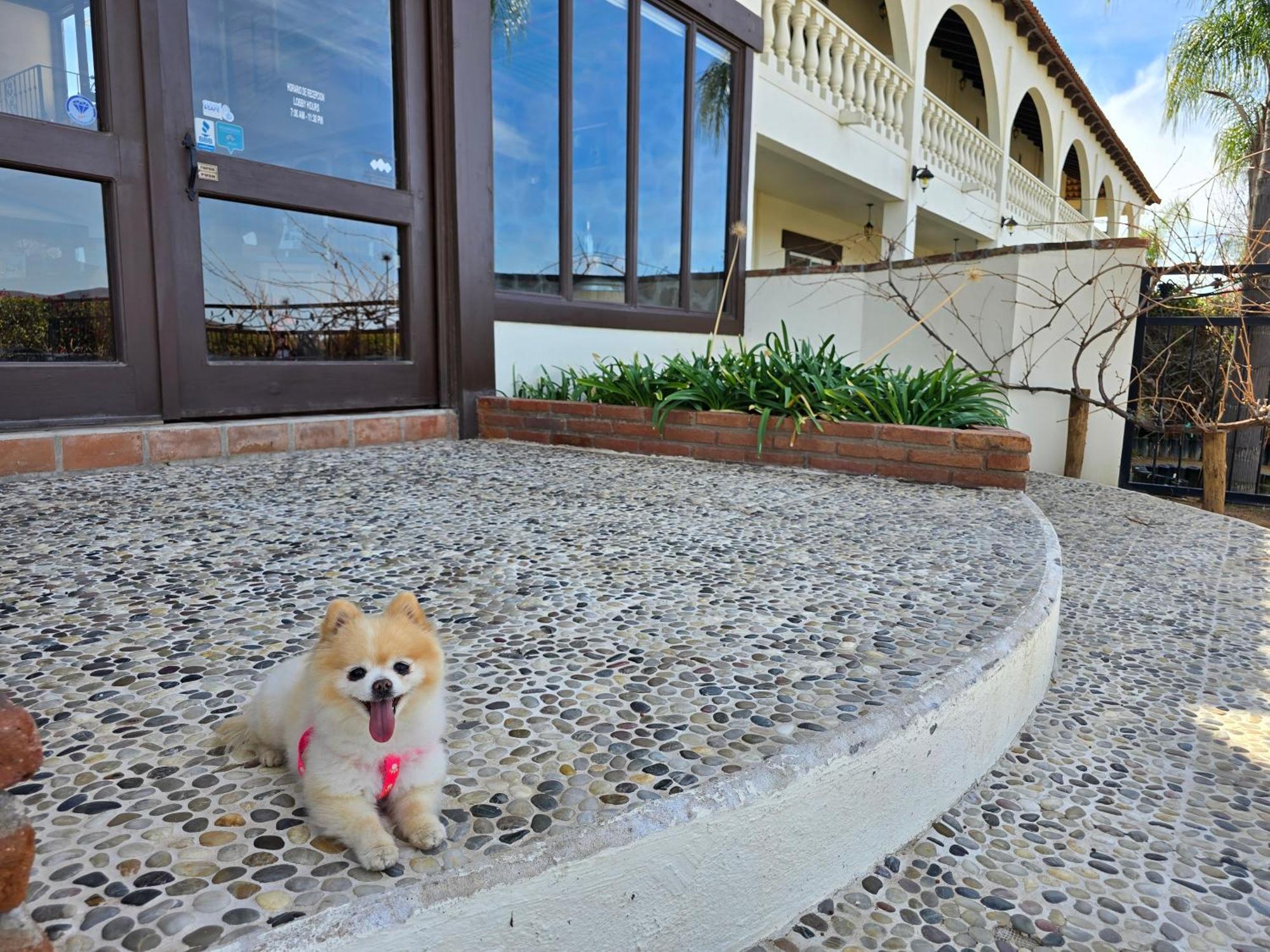 Hacienda Guadalupe Hotel Buitenkant foto