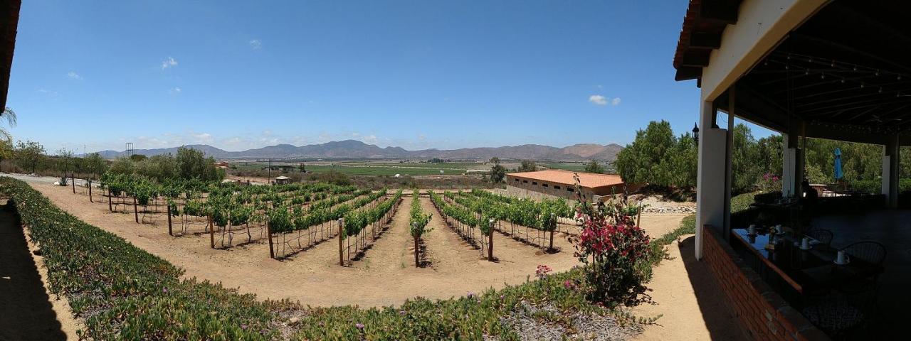 Hacienda Guadalupe Hotel Buitenkant foto